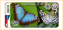 Obrázek č. 1, Turistické známky, No. 2670 - Papilonia - motýlí dům Brno
